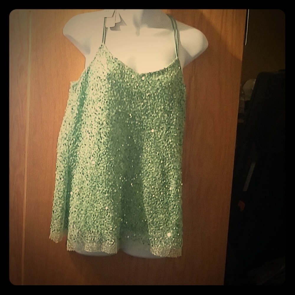 Beautiful Mint Green Sequined Halter